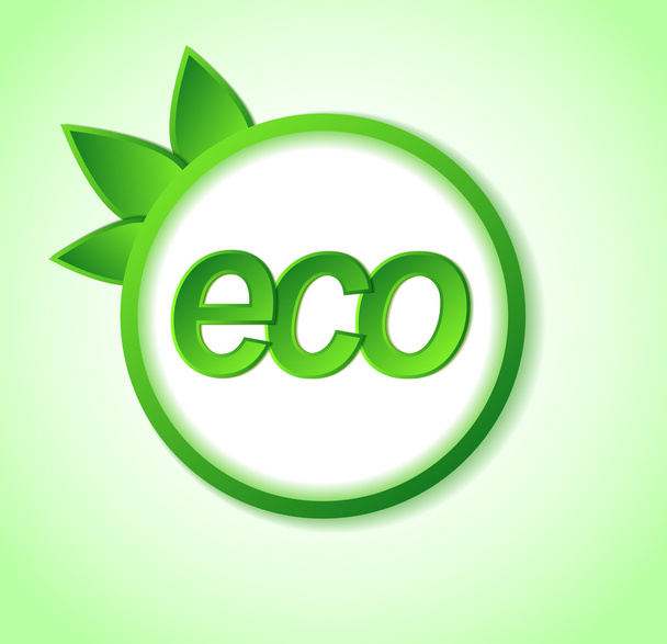 eco friendly icon on frame. - Vektor, obrázek
