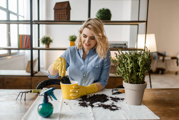 Young woman in gloves sitting at the table and changes the soil in home plants, florist hobby. Female person takes care of domestic flowers - Φωτογραφία, εικόνα