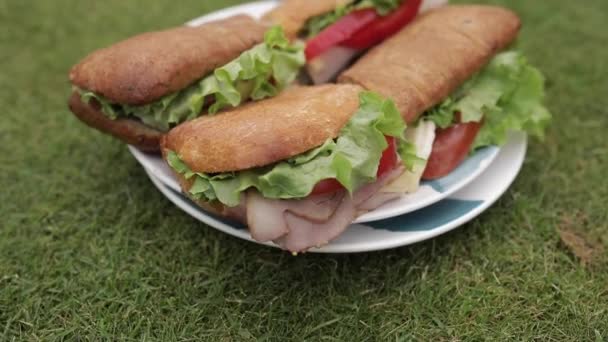 Ízletes szendvicsek a fűben. - Felvétel, videó