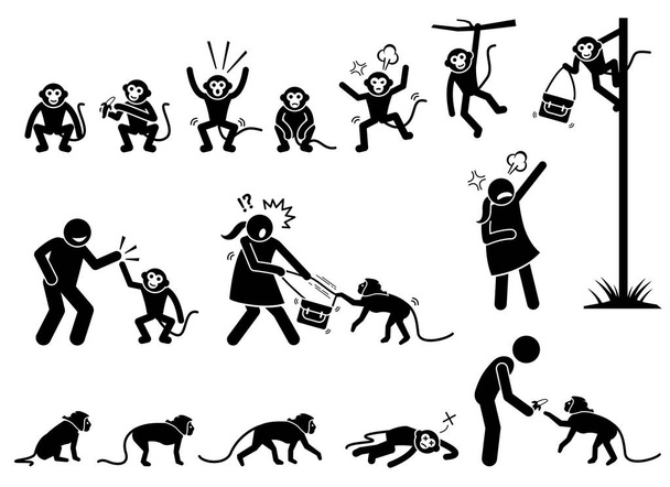 Pictograma de figura de palo humano y mono. Las ilustraciones representan las acciones y reacciones de los monos, como comer, enojarse, escalar y caminar. El mono travieso también agarrar y robar bolso de mujer. - Vector, imagen