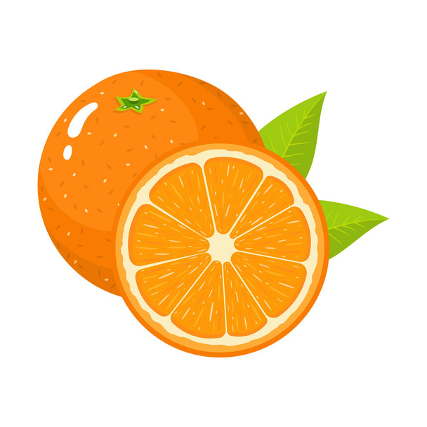 Set of fresh whole and half orange fruit with leaves isolated on white background. Tangerine. Organic fruit. Cartoon style. Vector illustration for any design. - Vector, Image
