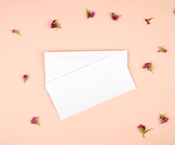 two white rectangular paper envelopes  - Foto, imagen