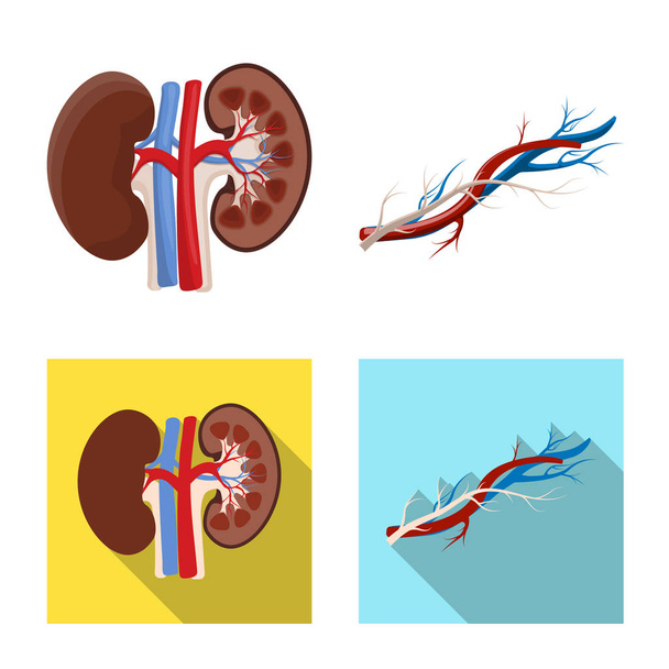 Vector design of body and human icon. Collection of body and medical vector icon for stock. - Διάνυσμα, εικόνα