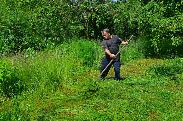 Человек, стригущий траву
 - Фото, изображение