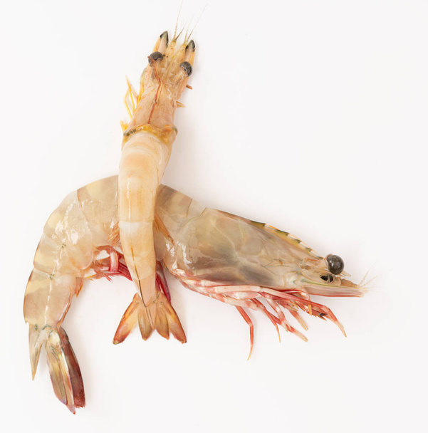 Raw fresh shrimps,prawns isolated on white background,top view - Foto, afbeelding
