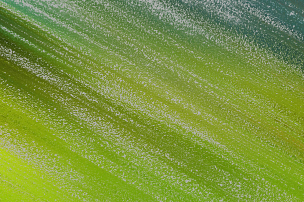 Soyut pastel yumuşak renkli desenli arkaplan tonu - Fotoğraf, Görsel