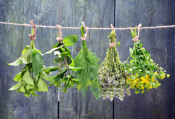 Набор свежих трав висит на деревянном винтажном фоне
 - Фото, изображение