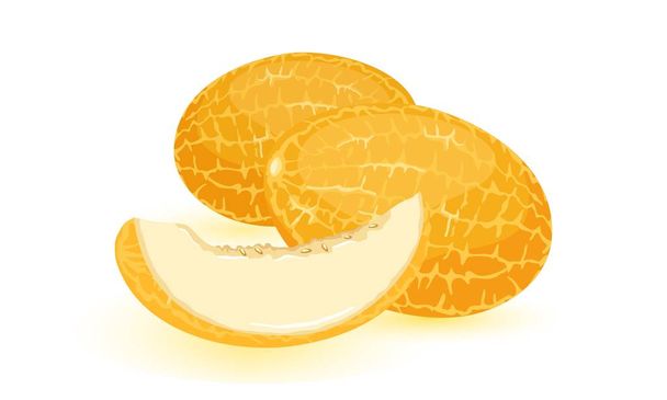 Geïsoleerde vectorafbeelding toont rijpe sinaasappel meloen met slice - Vector, afbeelding