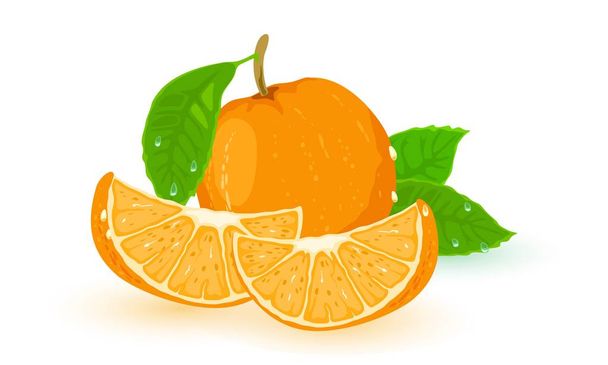 Image vectorielle de l'orange mûre avec des feuilles vertes et des tranches - Vecteur, image