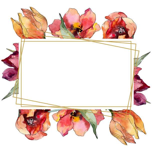 Red tulip floral botanical flower. Wild spring leaf wildflower isolated. Watercolor background illustration set. Watercolour drawing fashion aquarelle. Frame border crystal ornament square. - Foto, afbeelding