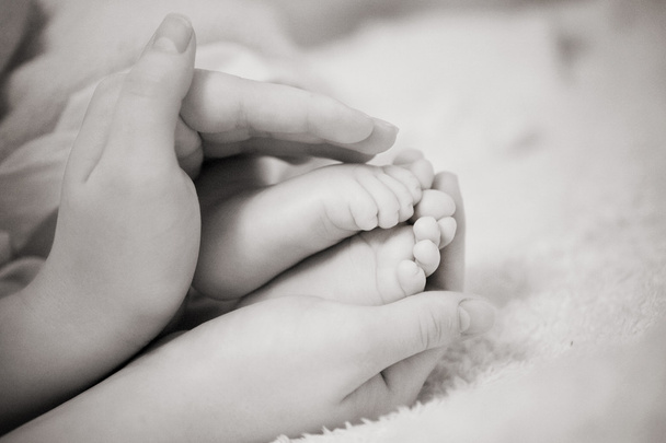 Feet and mothers hands - Photo, Image