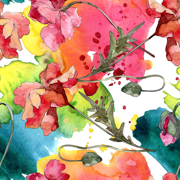 Παπαρούνα floral βοτανικό λουλούδι. Σύνολο εικονογράφησης φόντου. Ομαλή μοτίβο φόντου. - Φωτογραφία, εικόνα