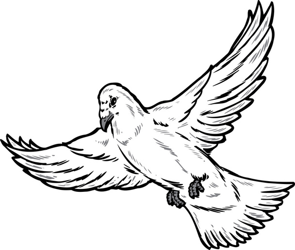 Иллюстрация полета голубя
 - Вектор,изображение