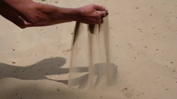 Handen van de mens SIFT zand op een zandduin in het natuurpark van Oekraïne. De textuur van zand op de rivierduin. - Video