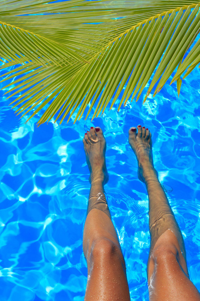 women legs splashing in tropical swimming pool - Foto, Imagen