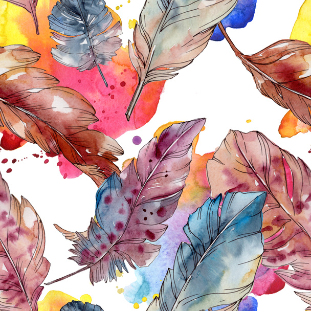 Colorful bird feather from wing isolated. Watercolor background illustration set. Seamless background pattern. - Fotografie, Obrázek