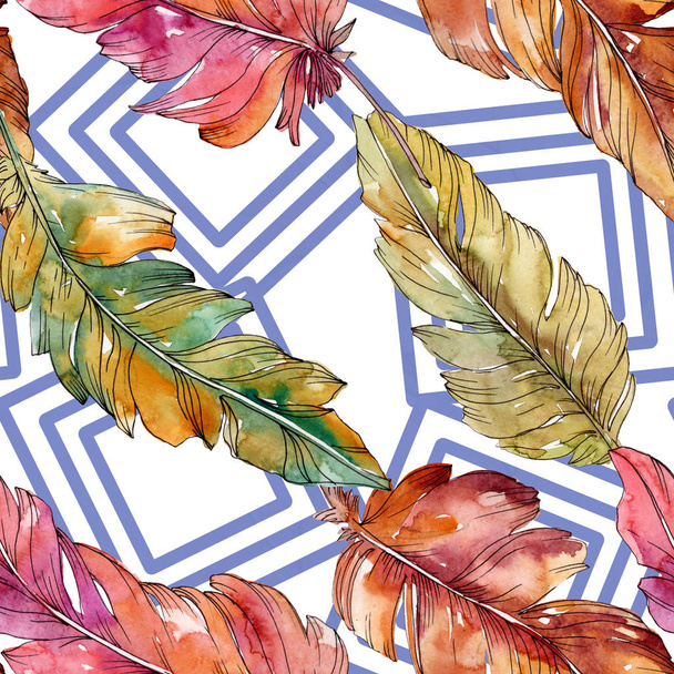 Colorful bird feather from wing isolated. Watercolor background illustration set. Seamless background pattern. - Photo, image