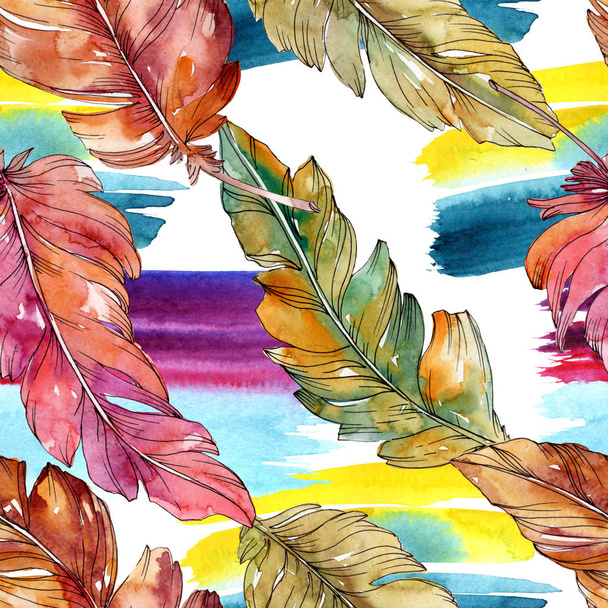 Colorful bird feather from wing isolated. Watercolor background illustration set. Seamless background pattern. - Foto, imagen