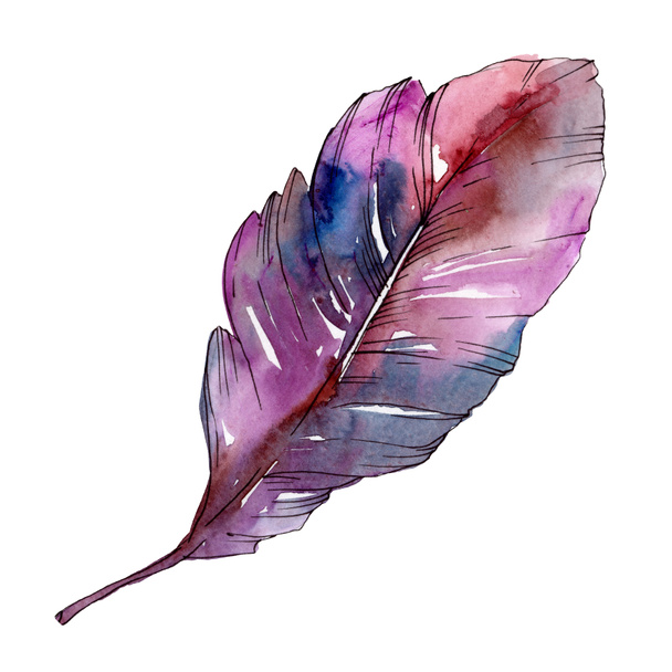 Colorful bird feather from wing isolated. Watercolor background illustration set. Isolated feather illustration element. - Fotografie, Obrázek