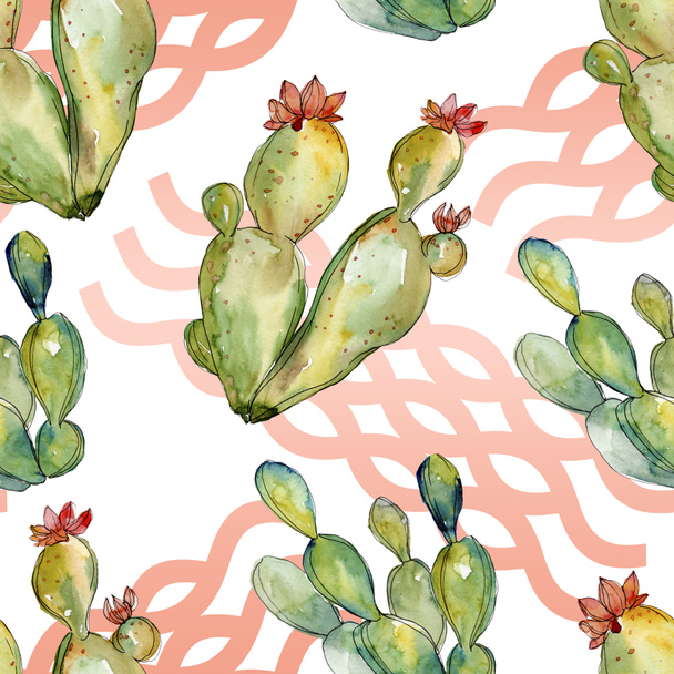 Groene cactus bloemen botanische bloemen. Aquarel achtergrond illustratie instellen. Naadloos achtergrond patroon. - Foto, afbeelding