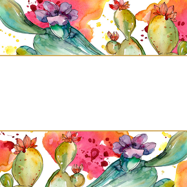 Zelené kaktus květinové botanické květy. Vodný obrázek pozadí-barevný. Orámovaná hranatá hranice. - Fotografie, Obrázek