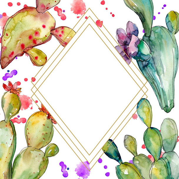 Green cactus floral botanical flowers. Watercolor background illustration set. Frame border ornament square. - Valokuva, kuva