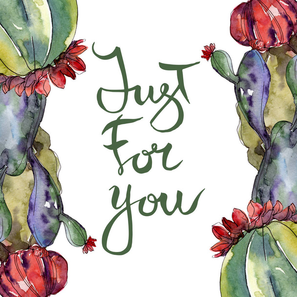 Cactus floral botanical flowers. Wild spring leaf wildflower isolated. Watercolor background illustration set. Watercolour drawing fashion aquarelle isolated. Frame border ornament square. - Φωτογραφία, εικόνα