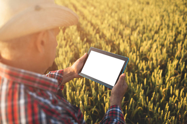 Farmer hands with tablet in a wheat field Close up. Smart farming, man using modern technologies in agriculture - Фото, изображение