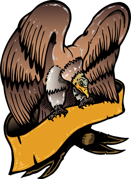αμερικανικός αετός με πανό διάνυσμα Εικ - Διάνυσμα, εικόνα