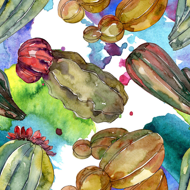 Kaktusz virágos botanikai virágok. Vad tavaszi levél vadvirág. Akvarell illusztráció meg. Akvarell rajz divat Aquarelle. Folytonos háttérmintázat. Szövet tapéta nyomtatási textúra. - Fotó, kép