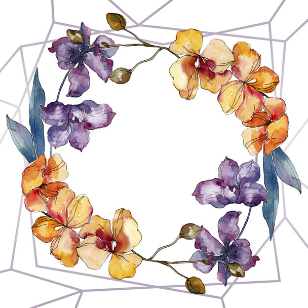 Orchid floral botanical flowers. Watercolor background illustration set. Frame border ornament square. - Фото, изображение