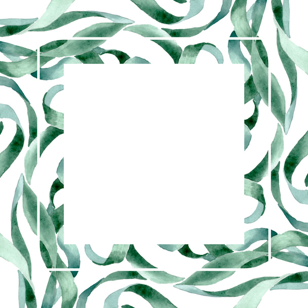 grüne sukkulente botanische Blumen. Aquarell Hintergrundillustration Set. Rahmen Rand Ornament Quadrat. - Foto, Bild
