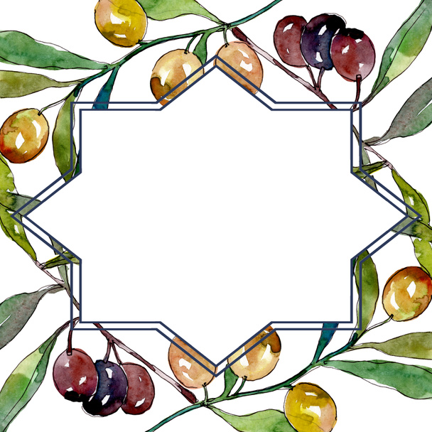 Olive branch with black and green fruit. Watercolor background illustration set. Frame border ornament square. - Фото, зображення