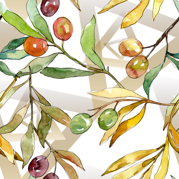Оливкова гілка з чорно-зеленими фруктами. Набір ілюстрацій для акварельного фону. Безшовний візерунок тла
. - Фото, зображення
