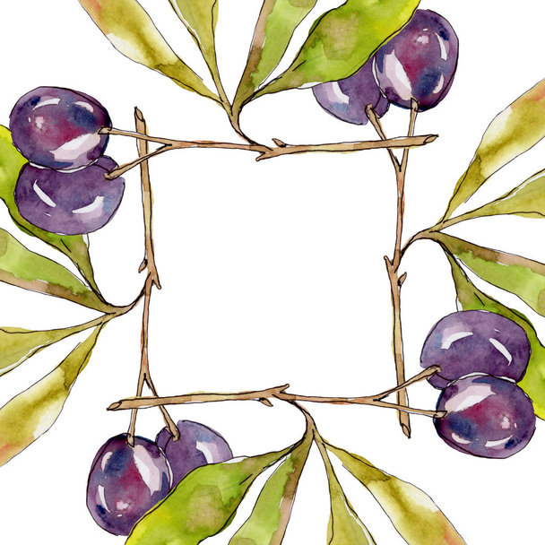 Olive Branch met zwart en groen fruit. Aquarel achtergrond illustratie set. Aquarel tekening mode Aquarelle geïsoleerd. Frame border ornament vierkant. - Foto, afbeelding