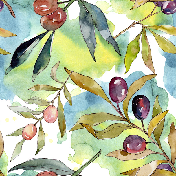 Olive branch with black and green fruit. Watercolor background illustration set. Watercolour drawing fashion aquarelle isolated. Seamless background pattern. Fabric wallpaper print texture. - Фото, зображення