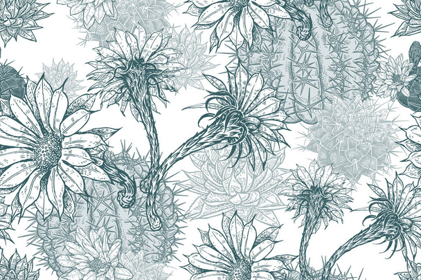 Exotic seamless pattern. Blooming cacti. - Vecteur, image