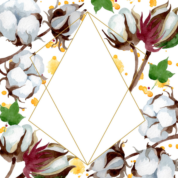 White cotton floral botanical flower. Wild spring leaf wildflower. Watercolor background illustration set. Watercolour drawing fashion aquarelle. Frame border crystal ornament square. - Фото, изображение