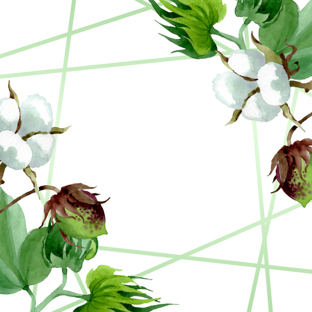 White cotton floral botanical flower. Wild spring leaf wildflower. Watercolor background illustration set. Watercolour drawing fashion aquarelle. Frame border crystal ornament square. - Foto, imagen