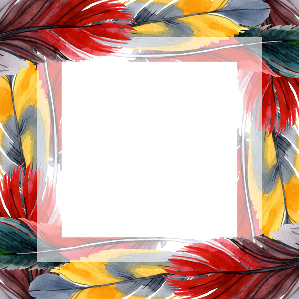 Colorful bird feather from wing isolated. Watercolor background illustration set. Frame border ornament square. - 写真・画像