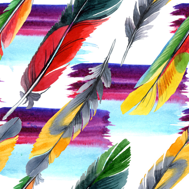 Colorful bird feather from wing isolated. Watercolour drawing fashion aquarelle. Fabric wallpaper print texture. - Photo, Image
