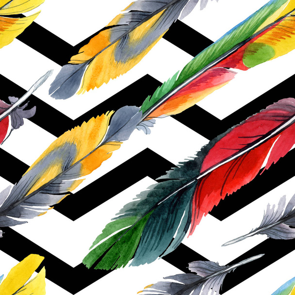 Kleurrijke vogel veren van vleugel geïsoleerd. Aquarel tekening mode Aquarelle. Stof wallpaper print textuur. - Foto, afbeelding