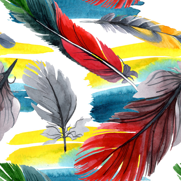 Colorful bird feather from wing isolated. Watercolour drawing fashion aquarelle. Fabric wallpaper print texture. - Foto, imagen