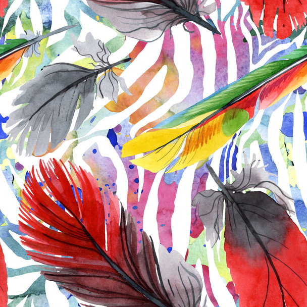 Colorful bird feather from wing isolated. Watercolour drawing fashion aquarelle. Fabric wallpaper print texture. - Foto, Bild