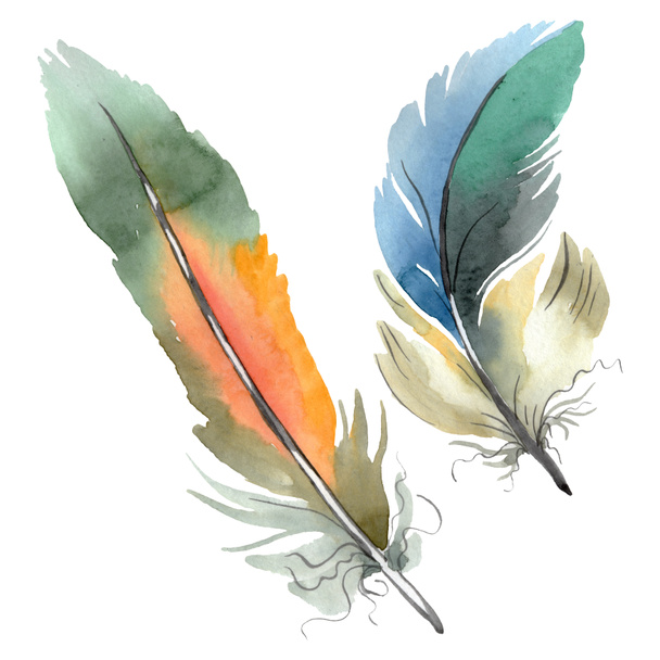 Színes madár toll a szárny elszigetelt. Akvarell háttér illusztráció meg. Különálló toll-illusztrációs elem. - Fotó, kép
