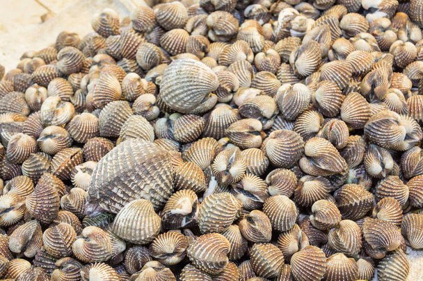 Cocos de sangre fresca en el mercado de alimentos de mar
 - Foto, imagen