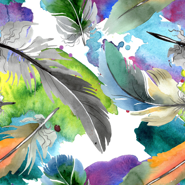 Kleurrijke vogel veren van vleugel geïsoleerd. Aquarel achtergrond illustratie instellen. Naadloos achtergrond patroon. - Foto, afbeelding