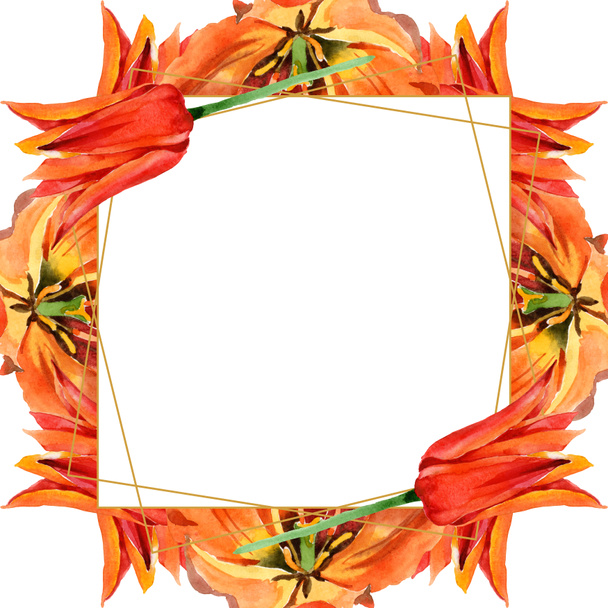 Oranje Tulip Floral botanische bloemen. Aquarel achtergrond illustratie instellen. Frame rand ornament vierkant. - Foto, afbeelding