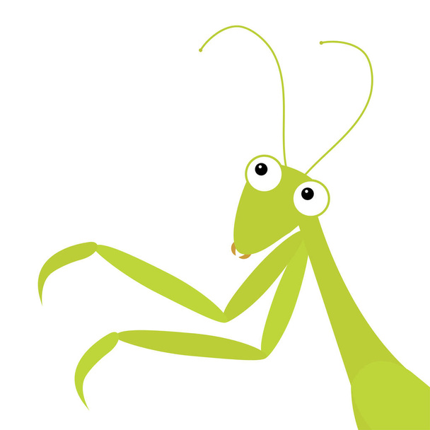 Ikona Mantis w rogu. Cute Cartoon Kawaii zabawny charakter. Zielony owad wyizolowany. Modląc się Mantid. Duże oczy. Uśmiechnięta twarz, nogi. Płaska konstrukcja. Baby clip art. Białe tło. - Wektor, obraz