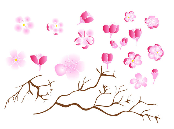Ücretsiz el Sakura çiçek vektör seti, Güzel çizgi sanat Şeftali çiçeği  - Vektör, Görsel